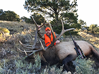 Meindl USA | Meindl Hunting and Hiking Boots | Official Site
