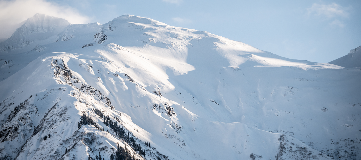 Expansive Snow-Covered Alpine Mountain Range With Rocky Ridgeline and Evergreen Trees in Foreground Under a Clear Blue Winter Sky Evoking Deep Winter Hiking Conditions